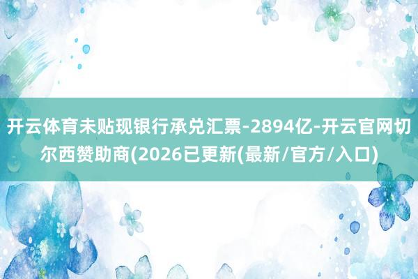 开云体育未贴现银行承兑汇票-2894亿-开云官网切尔西赞助商(2026已更新(最新/官方/入口)
