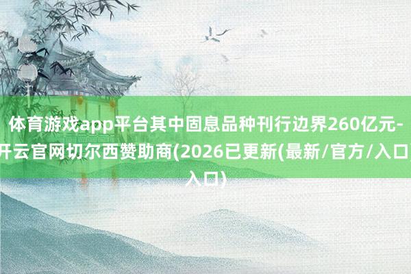 体育游戏app平台其中固息品种刊行边界260亿元-开云官网切尔西赞助商(2026已更新(最新/官方/入口)