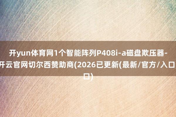 开yun体育网1个智能阵列P408i-a磁盘欺压器-开云官网