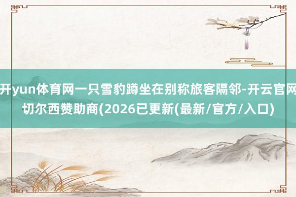 开yun体育网一只雪豹蹲坐在别称旅客隔邻-开云官网切尔西赞助